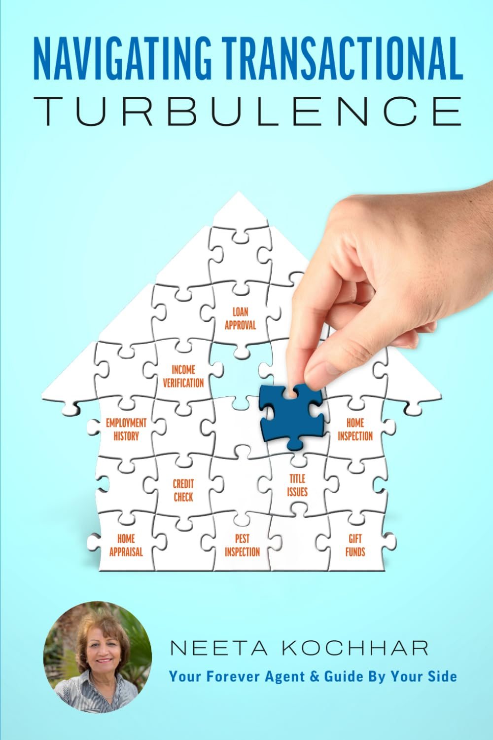 Cover of Navigating Transactional Turbulence